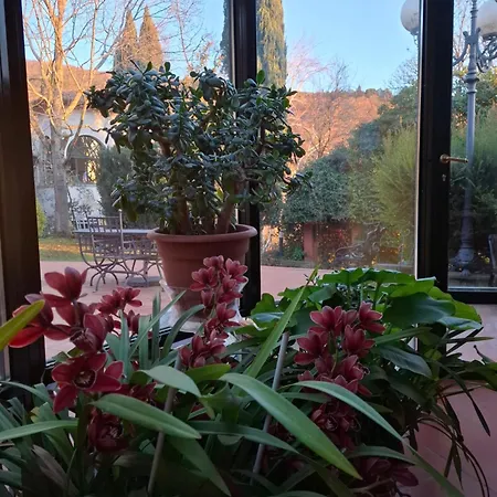 Tuscany Gorello. In Toscana. Jacuzzi Con Tetto In Cristallo,piscina