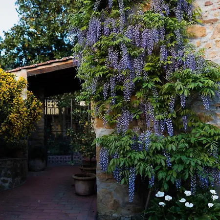 Tuscany Gorello. In Toscana. Jacuzzi Con Tetto In Cristallo,piscina Villa *