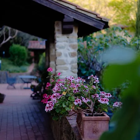 Villa Tuscany Gorello. In Toscana. Jacuzzi Con Tetto In Cristallo,piscina