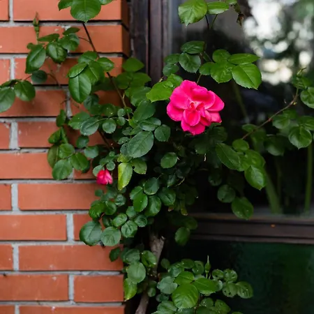 Tuscany Gorello. In Toscana. Jacuzzi Con Tetto In Cristallo,piscina *
